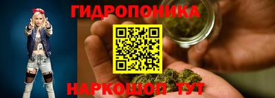 spice Аргун
