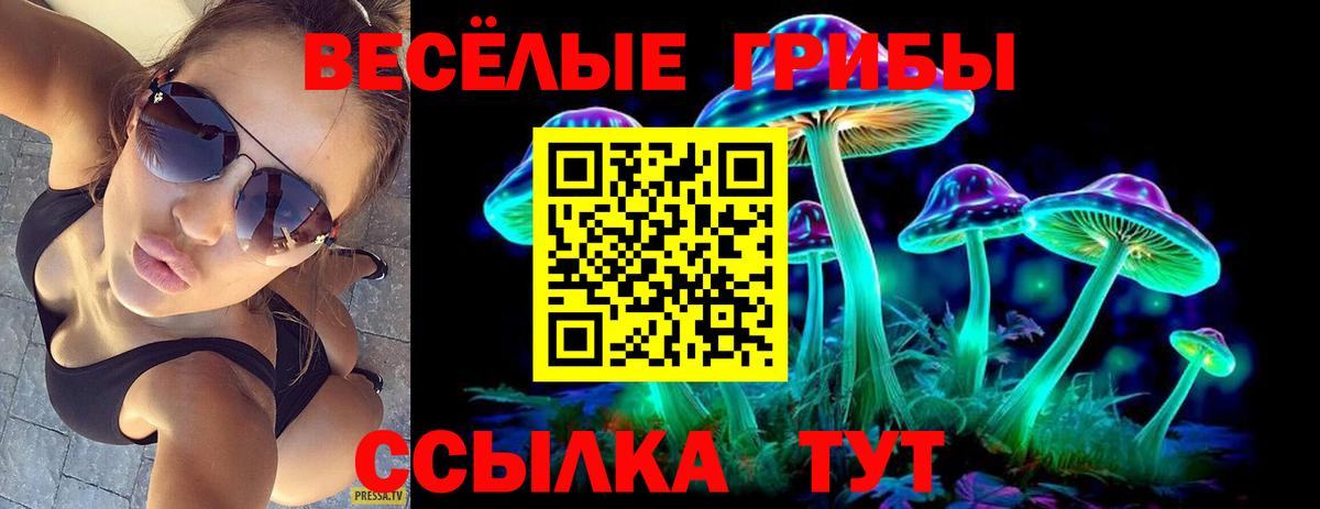 Галлюциногенные грибы GOLDEN TEACHER  Вход с VPN  Волжск  Галлюциногенные грибы Cubensis 